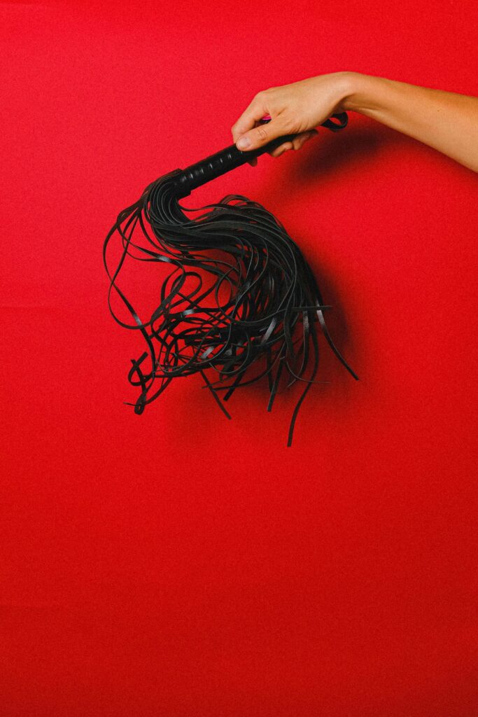 do bdsm whips carry stds a guide whip image on red background